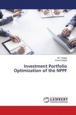 Investment Portfolio Optimization of the NPPF