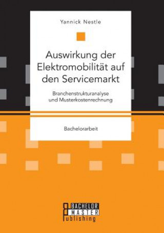 Auswirkung der Elektromobilitat auf den Servicemarkt. Branchenstrukturanalyse und Musterkostenrechnung