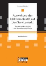 Auswirkung der Elektromobilitat auf den Servicemarkt. Branchenstrukturanalyse und Musterkostenrechnung