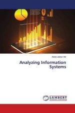 Analyzing Information Systems