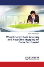 Wind Energy Data Analysis and Resource Mapping of Geba Catchment