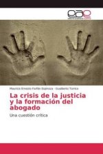 crisis de la justicia y la formacion del abogado