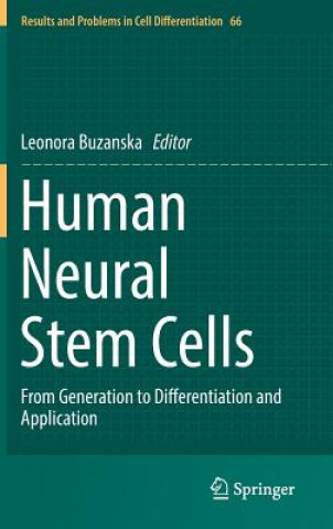 Human Neural Stem Cells