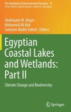 Egyptian Coastal Lakes and Wetlands: Part II