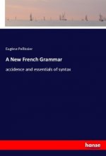 A New French Grammar