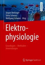 Elektrophysiologie