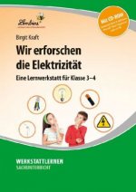 Wir erforschen die Elektrizität, m. 1 CD-ROM