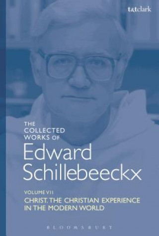 Collected Works of Edward Schillebeeckx Volume 7