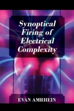 Synoptical Firing of Electrical Complexity