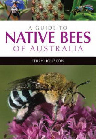 Guide to Native Bees of Australia