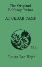 Bobbsey Twins at Cedar Camp