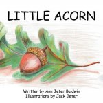 Little Acorn