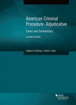 American Criminal Procedure, Adjudicative