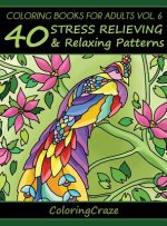 Coloring Books for Adults Volume 6