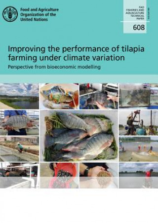Improving the performance of Tilapia