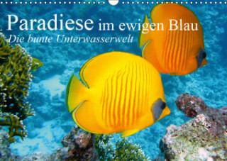 Paradiese im ewigen Blau. Die bunte Unterwasserwelt (Wandkalender 2019 DIN A3 quer)