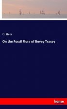 On the Fossil Flora of Bovey Tracey