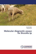 Molecular diagnostic assays for Brucella sp