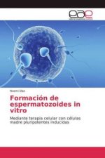 Formacion de espermatozoides in vitro