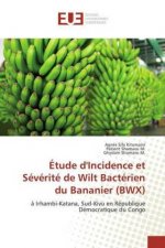 Étude d'Incidence et Sévérité de Wilt Bactérien du Bananier (BWX)