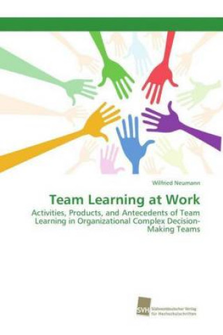 Team Learning at Work