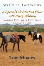 Six Colts, Two Weeks, Volume Two