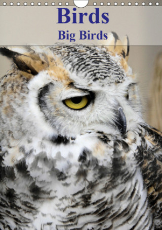 Birds Big Birds 2019
