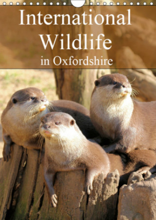 International Wildlife in Oxfordshire 2019