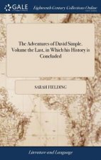 Adventures of David Simple. Volume the Last, in Which His History Is Concluded