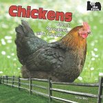 Chickens: Hens, Roosters, and Chicks