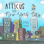 A Bird's Eye View: Atticus Sees New York City