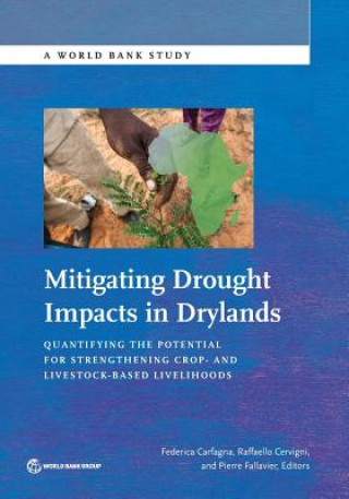 Mitigating drought impacts in drylands