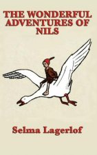 Wonderful Adventures of Nils