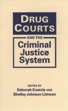 Drug Courts and the Criminal Justice System