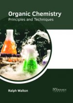 Organic Chemistry: Principles and Techniques