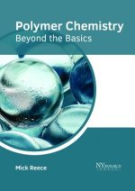 Polymer Chemistry: Beyond the Basics