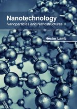 Nanotechnology: Nanoparticles and Nanostructures
