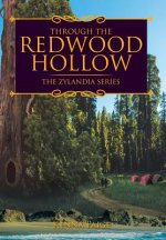 Through the Redwood Hollow