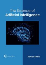 Essence of Artificial Intelligence