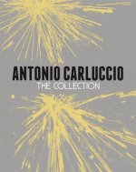 Antonio Carluccio: The Collection