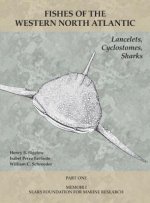 Lancelets, Cyclostomes, Sharks