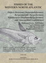 Orders Heteromi (Notacanthiformes), Berycomorphi (Beryciformes), Xenoberyces (Stephanoberyciformes), Anacanthini (Gadiformes)