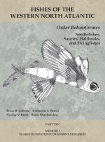 Order Beloniformes: Needlefishes, Sauries, Halfbeaks, and Flyingfishes