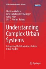 Understanding Complex Urban Systems