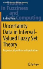 Uncertainty Data in Interval-Valued Fuzzy Set Theory