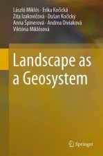 Landscape as a Geosystem