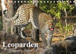 Leoparden. Elegante Jäger (Tischkalender 2019 DIN A5 quer)