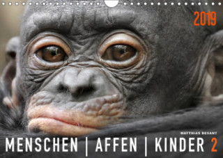 MENSCHENAFFENKINDER 2 (Wandkalender 2019 DIN A4 quer)