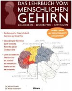 DAS LEHRBUCH VOM MENSCHLICHEN GEHIRN