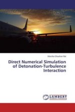 Direct Numerical Simulation of Detonation-Turbulence Interaction